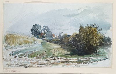 Path between a Cornfield and Shrubs with Cottages in the Background by Wilhelm Busch