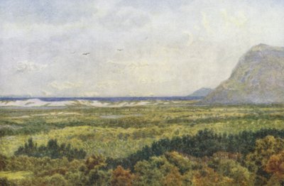 Constantia Valley and False Bay, with Cape Point by Wilhelm Westhofen