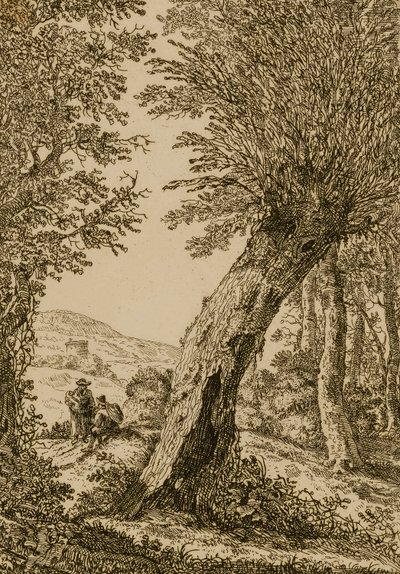 Landscape with Willow by Willem Bemmel