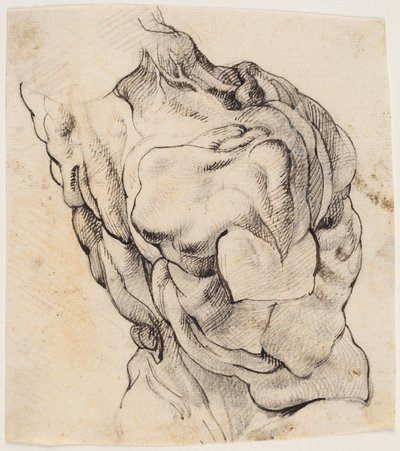 Anatomical Study. Torso of a Flayed Man Seen from the Back Half Turned to the Right by Willem Panneels