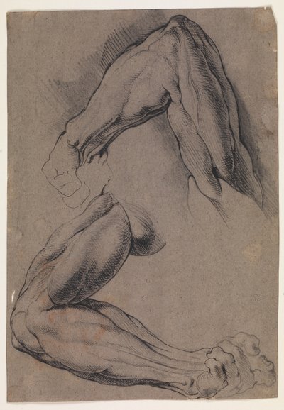 Anatomical Study. Two studies of a man