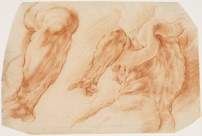 Laocoon. Studies of Laocoon