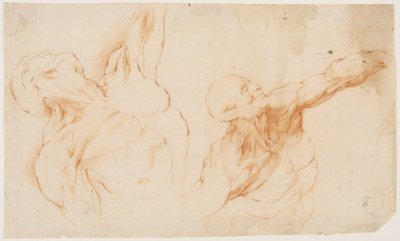 Two anatomical Studies (écorchés). Flayed torso of a man, his left arm raised by Willem Panneels