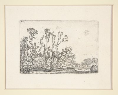 Herd of Sheep Near the Water, Plate 8 from The Set of the Landscapes by Willem Pietersz. Buytewech