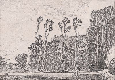 The Sower, from Verscheyden Landtschapjes Various Little Landscapes, Plate 5 by Willem Pietersz. Buytewech