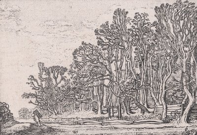 Two Plank Hedges, from Various Little Landscapes, Plate 6 by Willem Pietersz. Buytewech