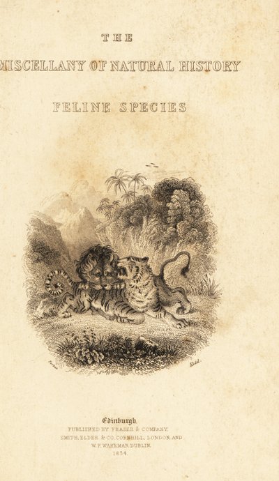 Titlepage with Vignette of a Lion Attacking a Tiger (engraving) by William Alexander Forbes