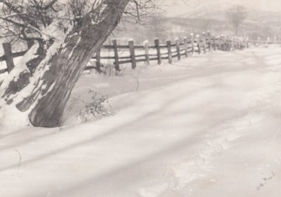 Path in the Snow by William B. Post