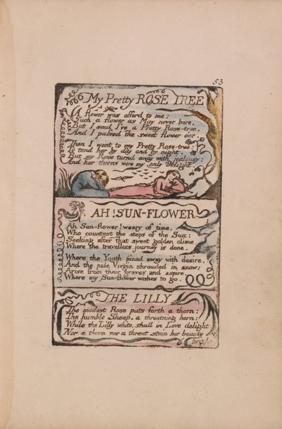 Songs of Innocence and of Experience, Plate 53, My Pretty Rose Tree, Ah! Sun-Flower, The Lilly by William Blake