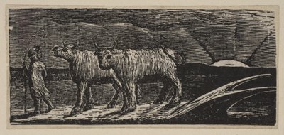 Unyoked Heifers, Loitering Homeward (from Thornton