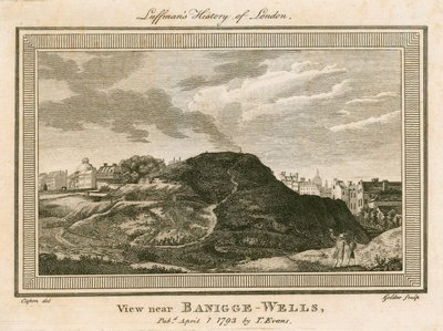 View of Bagnigge Wells, near Battle Bridge, Islington, London by William Capon
