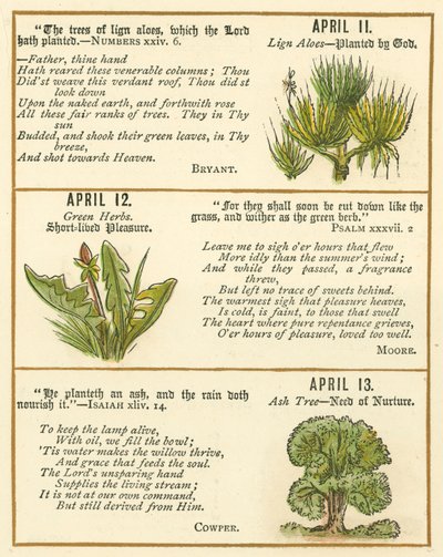 Page from The Bible Emblem Anniversary Book by William Foster