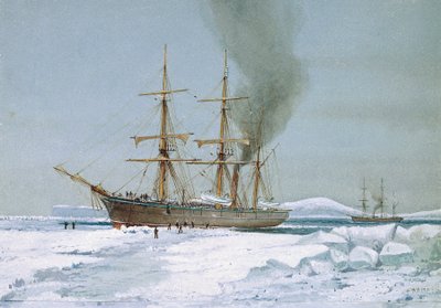 The HMS 