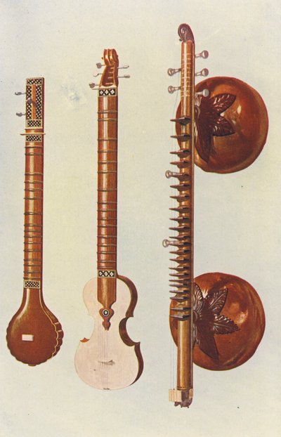 Musical instruments: Sitars and Vina by William Gibb