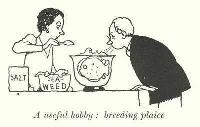 A useful hobby, breeding plaice by William Heath Robinson