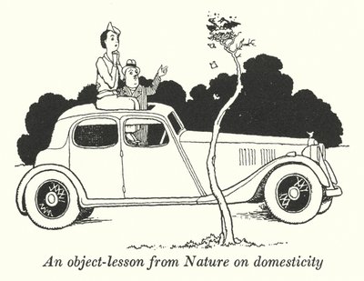 An Object-Lesson from Nature on Domesticity by William Heath Robinson