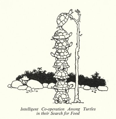 Intelligent Co-operation Among Turtles in their Search for Food by William Heath Robinson