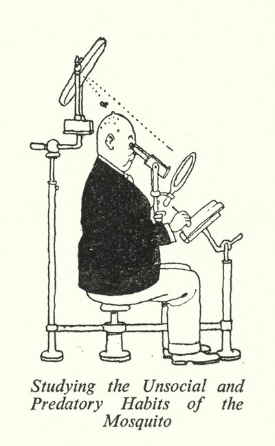 Studying the Unsocial and Predatory Habits of the Mosquito by William Heath Robinson