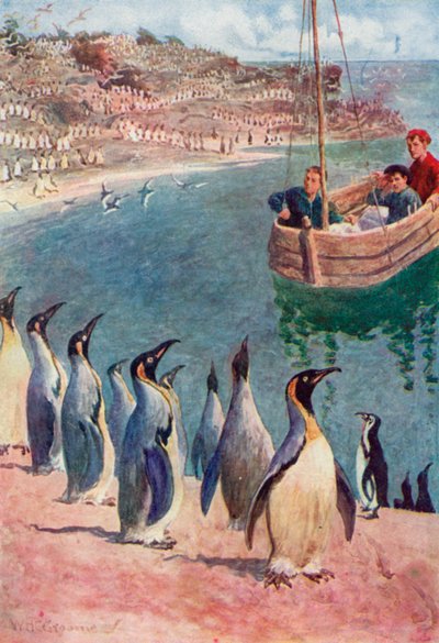 We gazed at the birds with surprise and pleasure, they returning our gaze with interest by William Henry Charles Groome