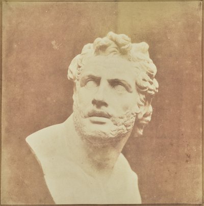 Bust of Patroclus by William Henry Fox Talbot