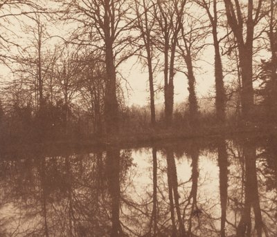 Winter Trees, Reflected in a Pond by William Henry Fox Talbot
