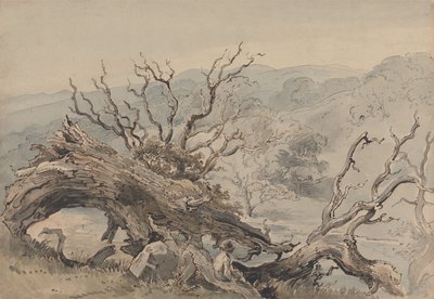 A Fallen Oak by William Henry Hunt