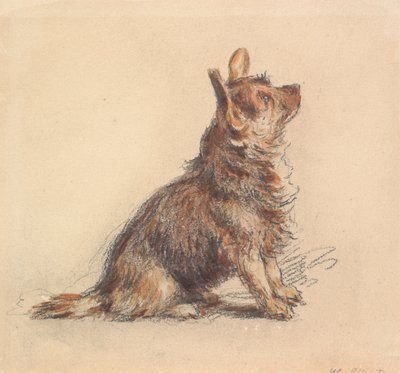 A Terrier Sitting, Looking Up to Right by William Henry Hunt