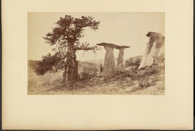 Monument Park, The Dutch Wedding by William Henry Jackson