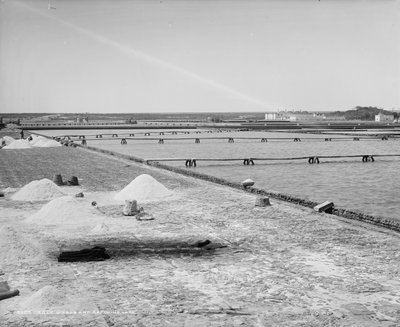 Salt works and refining vats, Mexico by William Henry Jackson