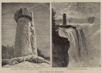 The Falls of Niagara by William Henry James Boot