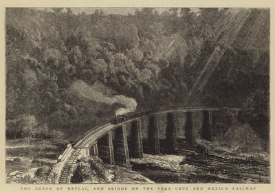The Gorge of Metlac, and Bridge on the Vera Cruz and Mexico Railway by William Henry James Boot