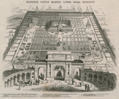 Islington Cattle Market, Lower Road, Islington, London by William Henry Prior