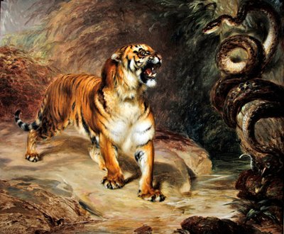 Tiger and python by William Huggins