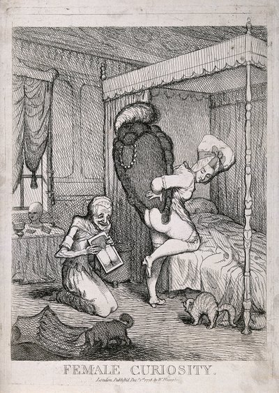 Female Curiosity by William Humphrey