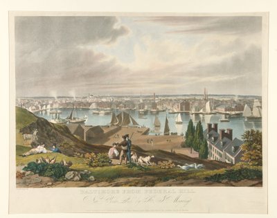 Baltimore From Federal Hill by William James Bennett