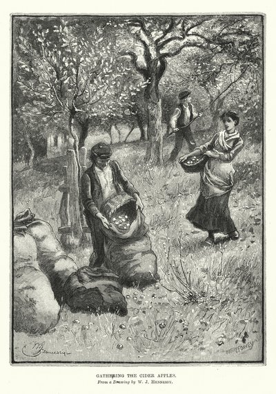 Gathering the Cider Apples by William John Hennessy