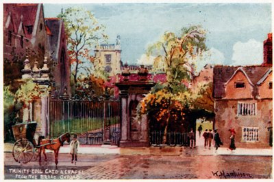 Trinity College, Gate and Chapel, from the Broad St by William Matthison