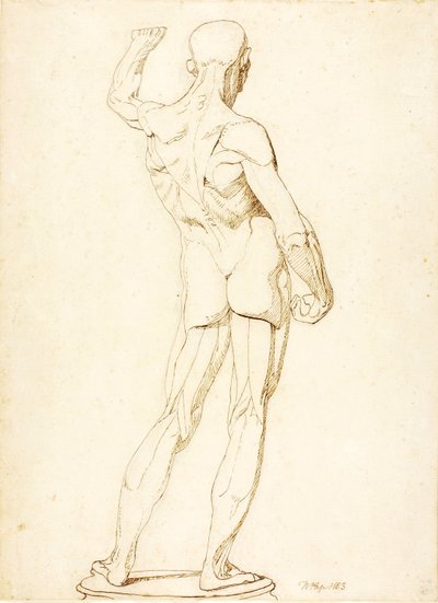 An Ecorche, Rear View by William Page