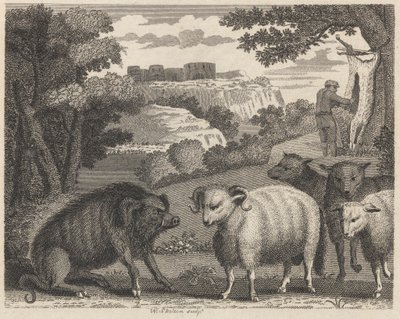 The Wild Boar and the Ram by William Skelton