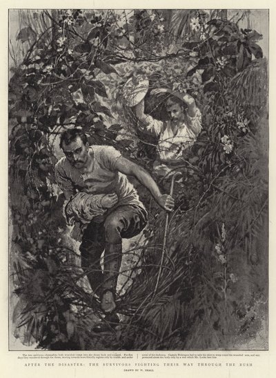 After the Disaster, the Survivors Fighting their Way through the Bush by William Small