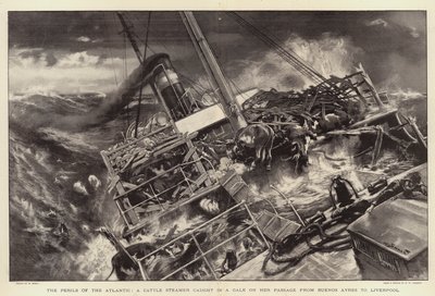 The Perils of the Atlantic, a Cattle Steamer Caught in a Gale on Her Passage from Buenos Ayres to Liverpool by William Small