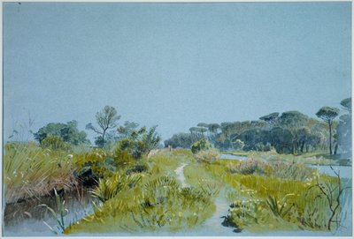 Castel Fusano - Near Rome by William Stanley Haseltine