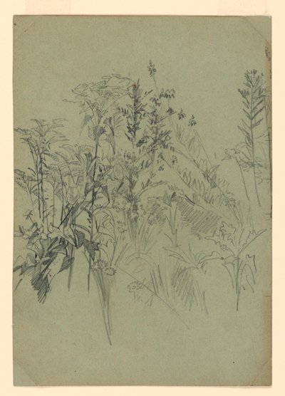 Study of Foliage by William Trost Richards