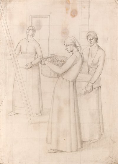 Study for 