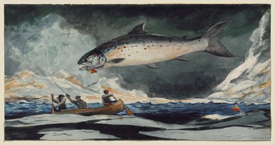 A Good Pool, Saguenay River by Winslow Homer