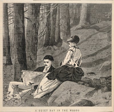 A Quiet Day in the Woods by Winslow Homer