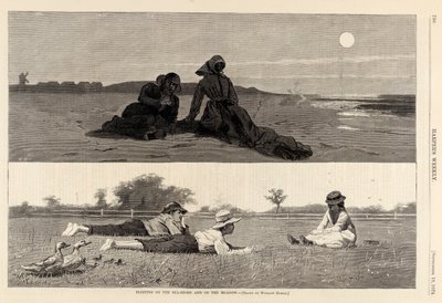 Flirting on the Sea-Shore and on the Meadow by Winslow Homer