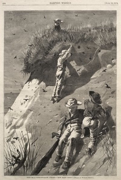 Raid on a Sand-Swallow Colony - "How Many Eggs?" by Winslow Homer