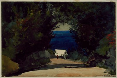 Road in Bermuda by Winslow Homer