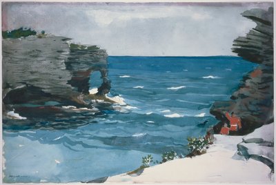 Rocky Shore, Bermuda by Winslow Homer